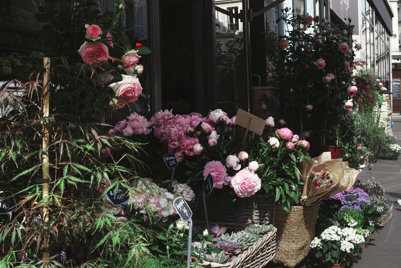 Gorgeous And Beautiful Your Toronto Flower Shop Gorgeous And   Pink Roses And White Daisies Outside A Flower Shop 1400x 